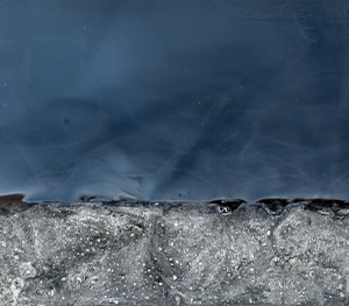 Fiona Annis